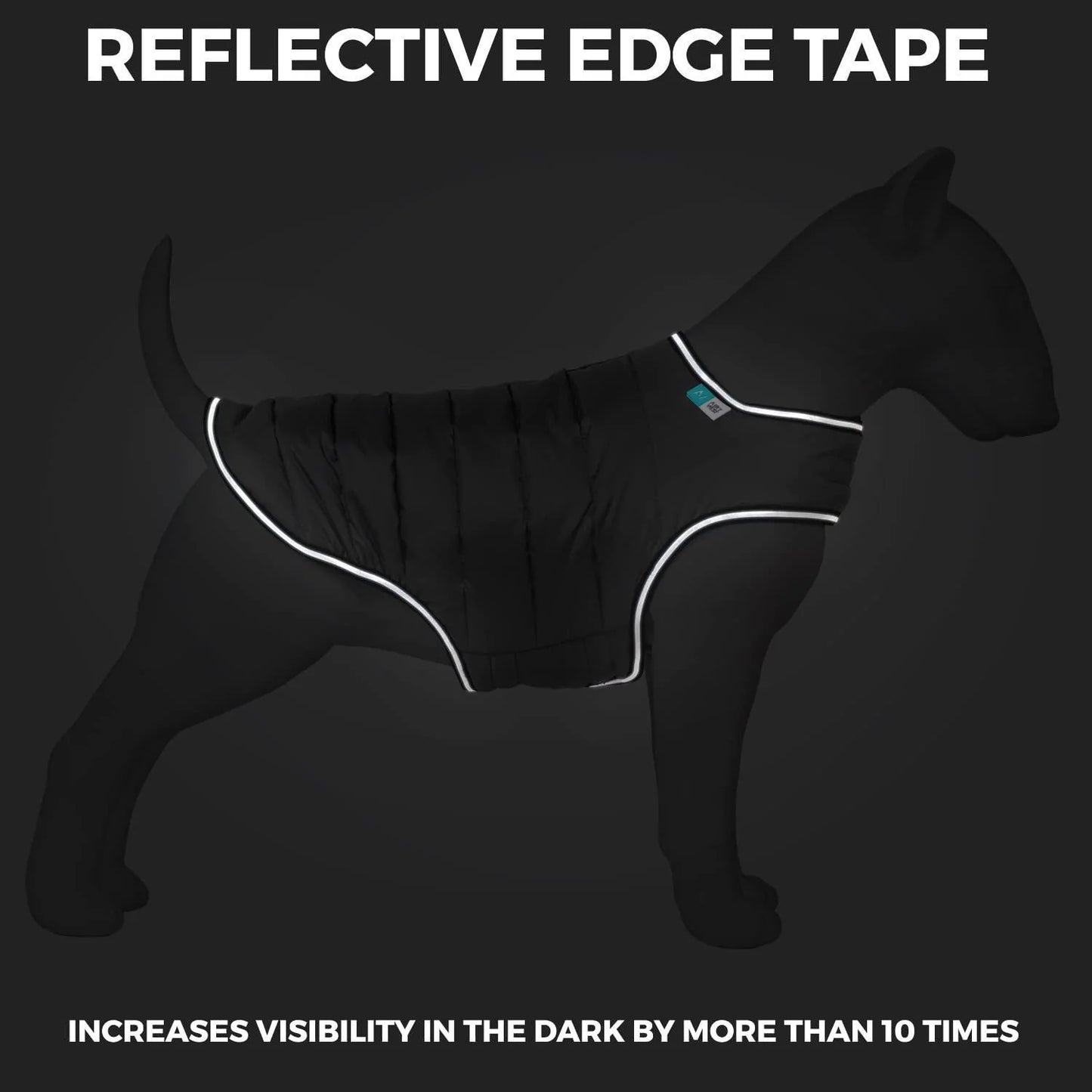 The reflective tape on the coat makes the dog visible in the dark.