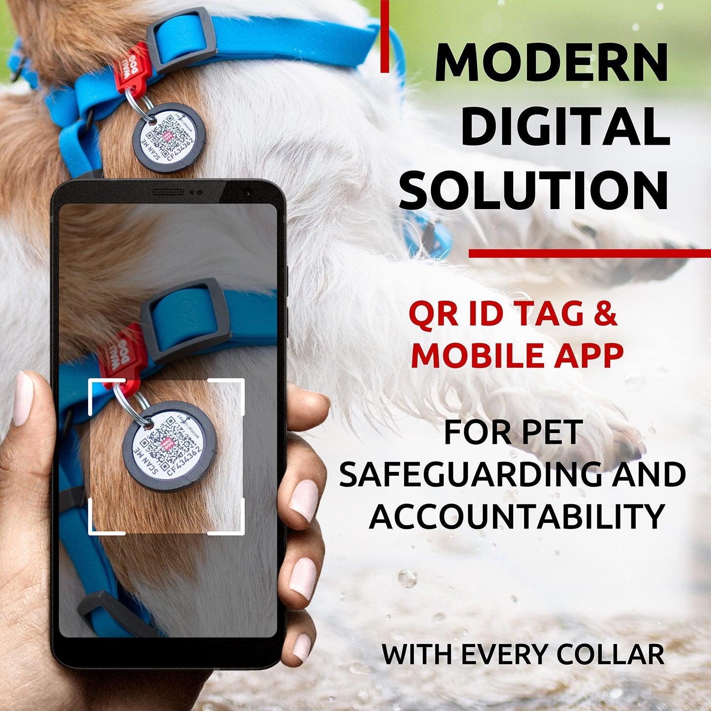 QRID & Mobile App