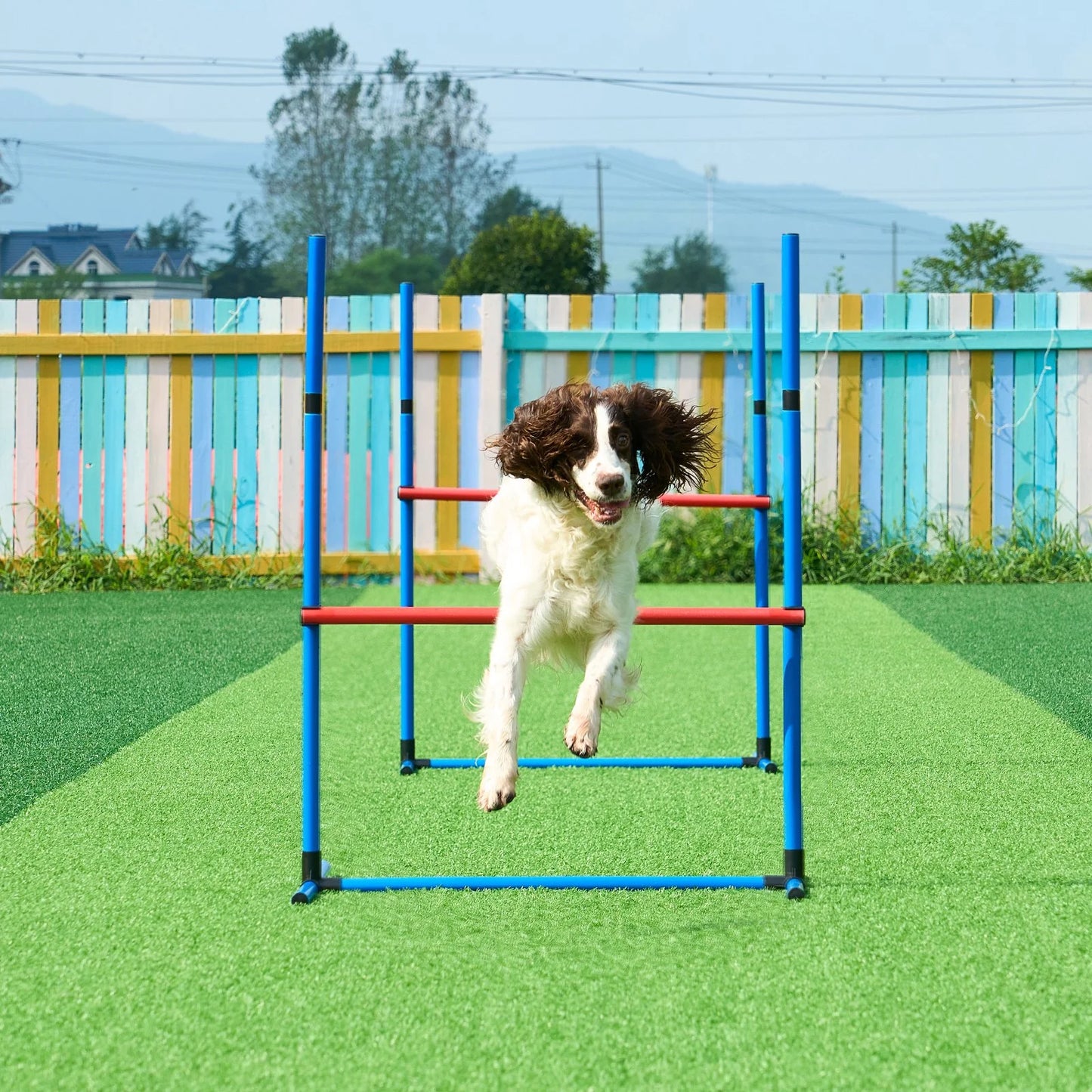 Great for exerciseing your dog