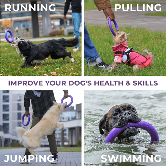 The Puller dog rings are great for Running, Swimming, Pulling and Jumping.