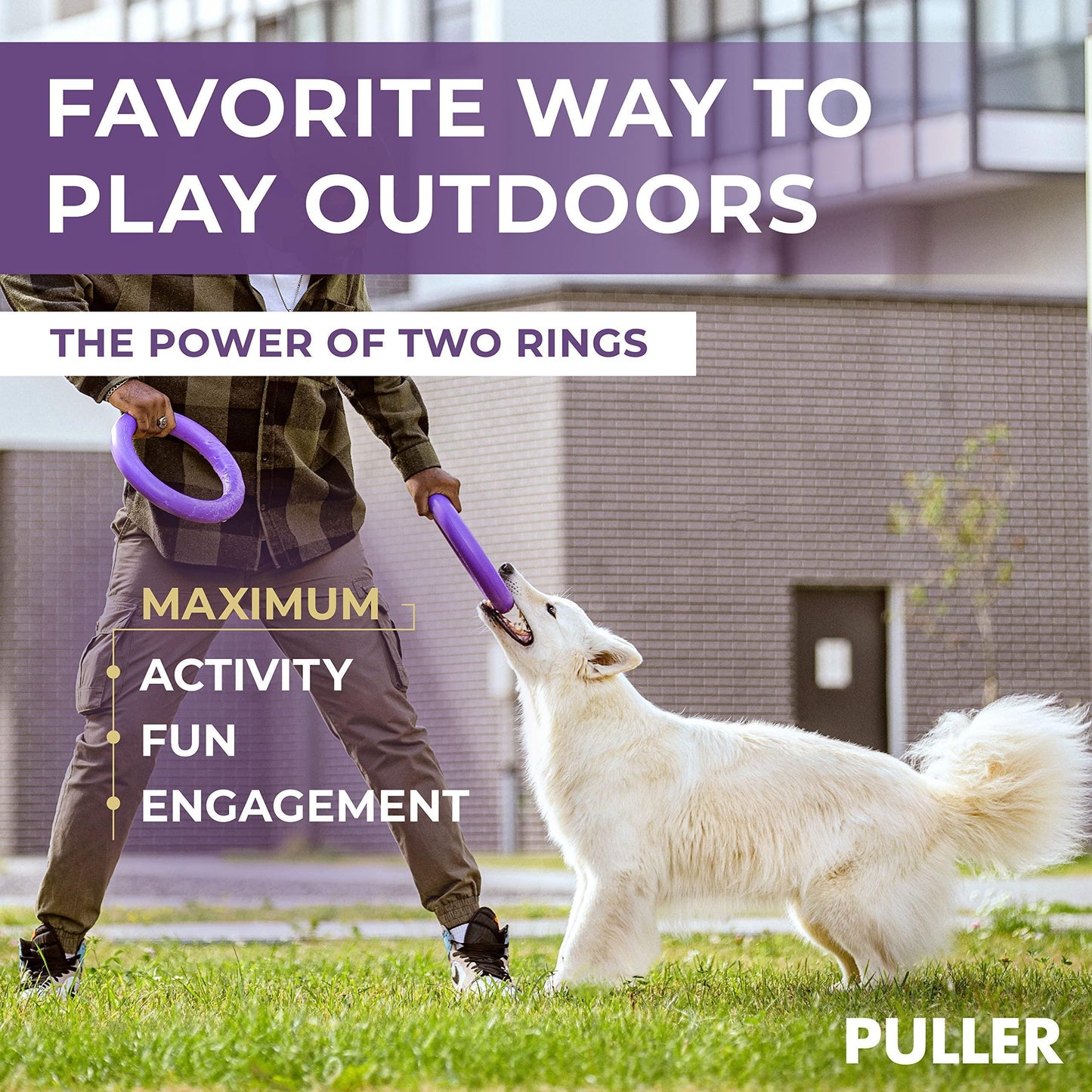 Fun activity with your dog
