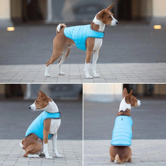 Your dog will thrive with this coat.