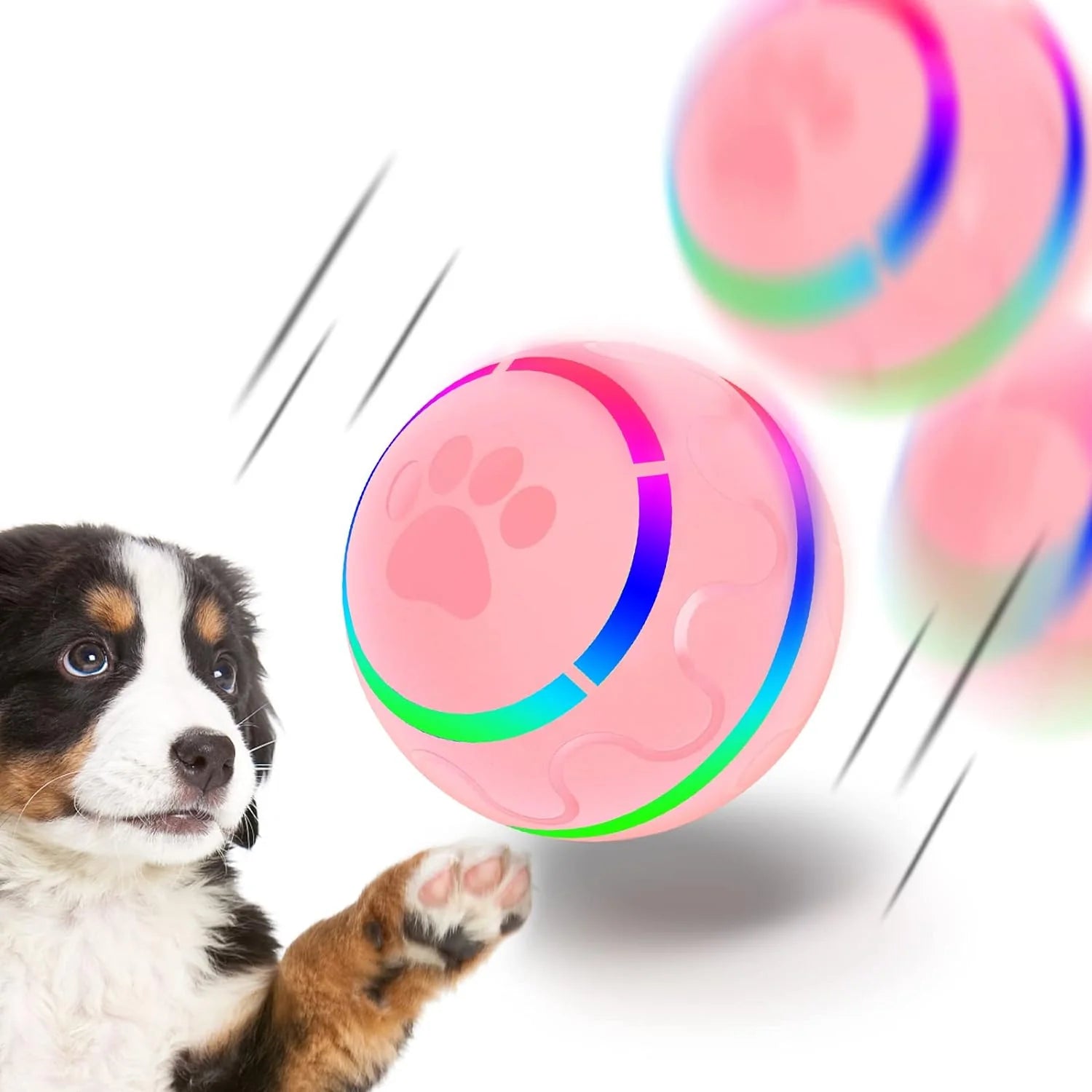 Rechargeable fun for your dog!