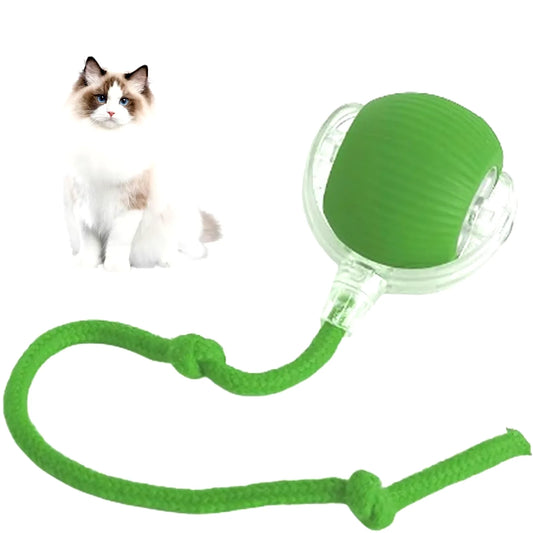 Cats & Dogs enjoy this resharable rolling toy