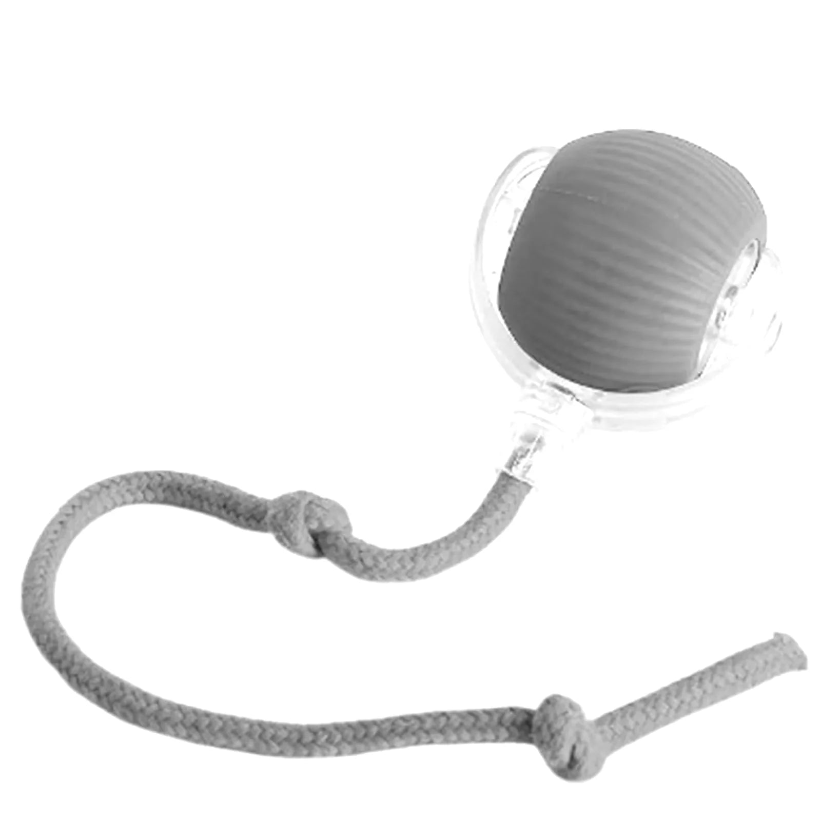Interactive Rechargeable Cat and Dog Rolling Ball Toy 