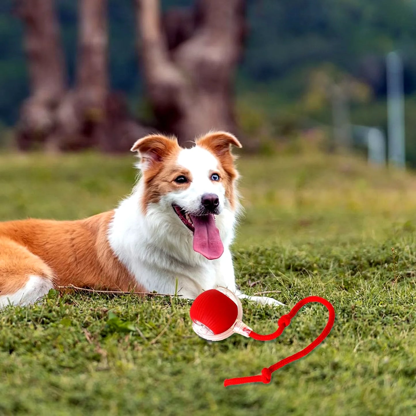 Interactive Rechargeable Cat and Dog Rolling Ball Toy - Smart Pet Entertainment