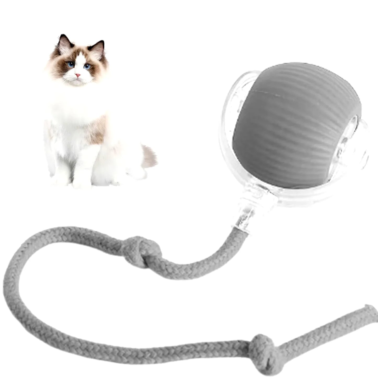Interactive Rechargeable Cat and Dog Rolling Ball Toy - Both cats and dogs love this!