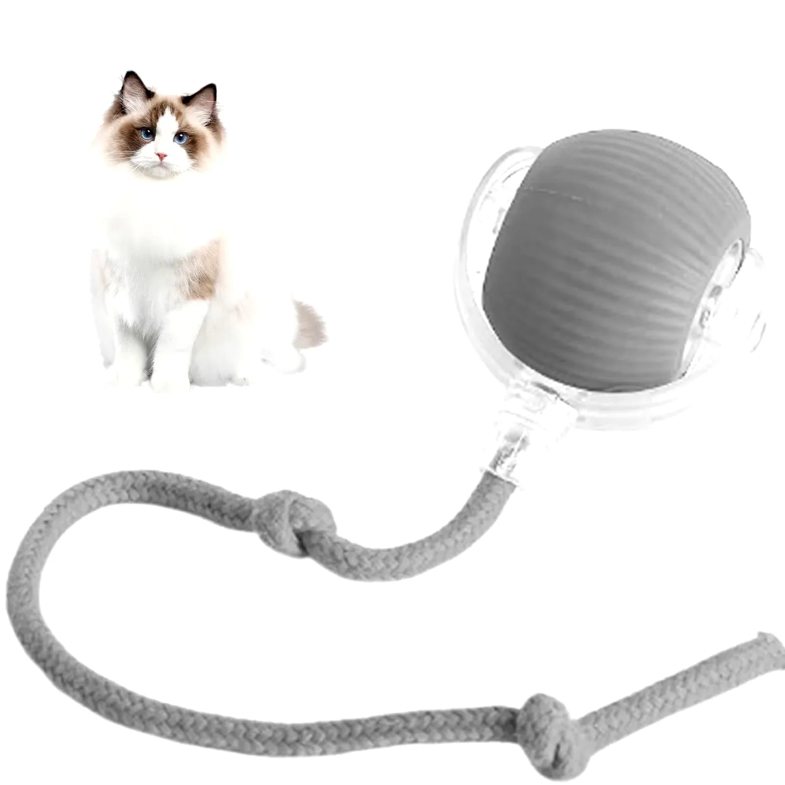 Interactive Rechargeable Cat and Dog Rolling Ball Toy - Both cats and dogs love this!