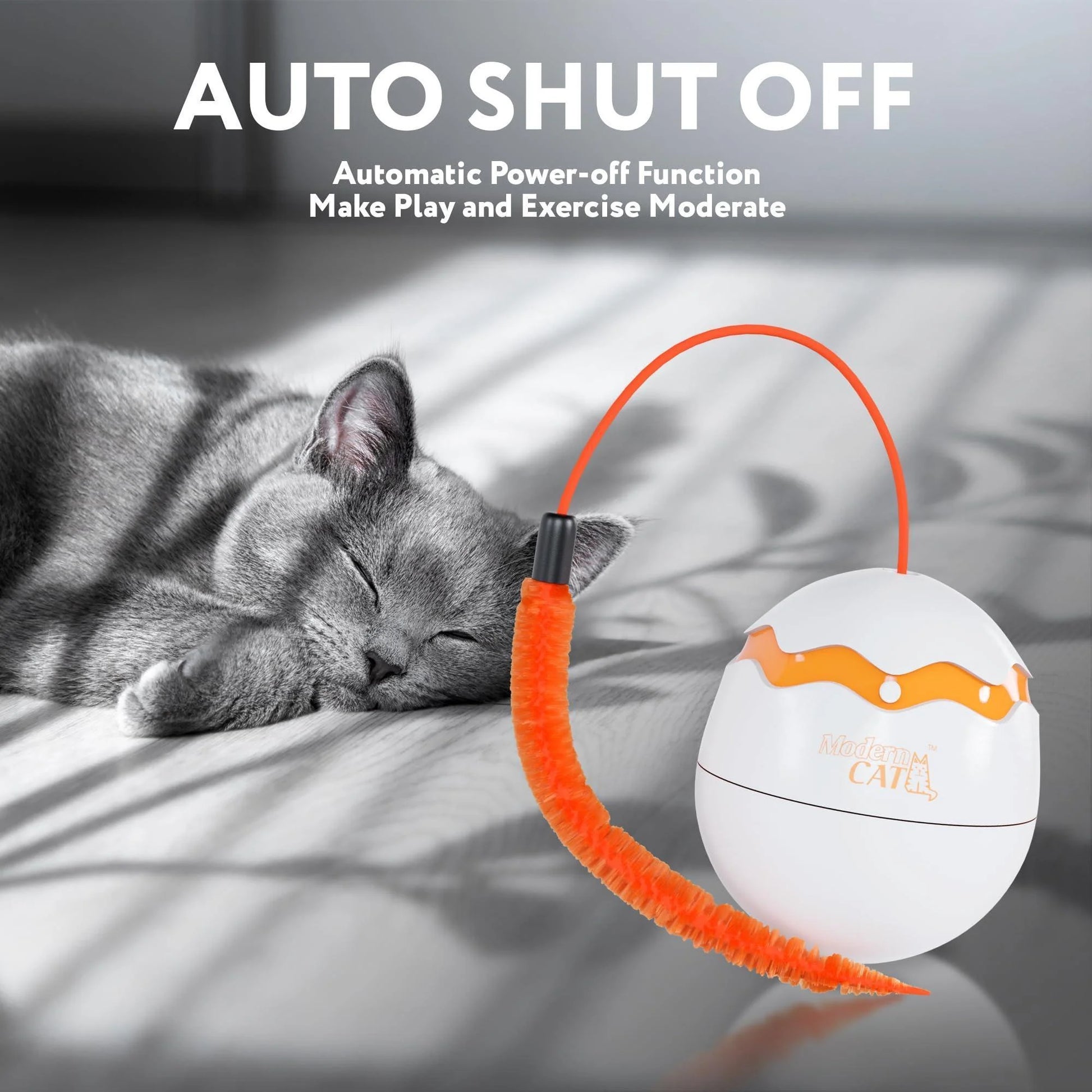 This toy has an automatic Power Off function.
