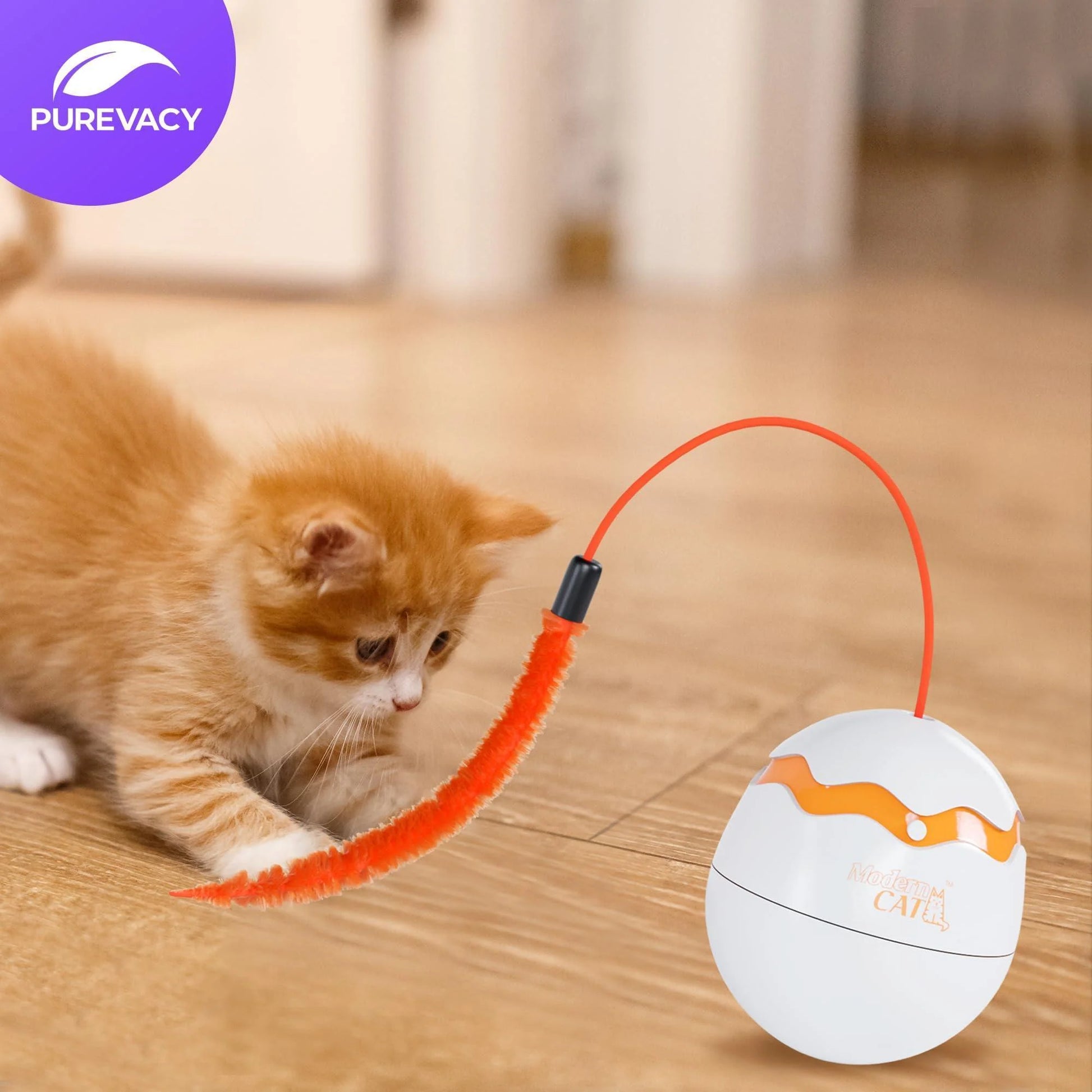 Cats love this toy!