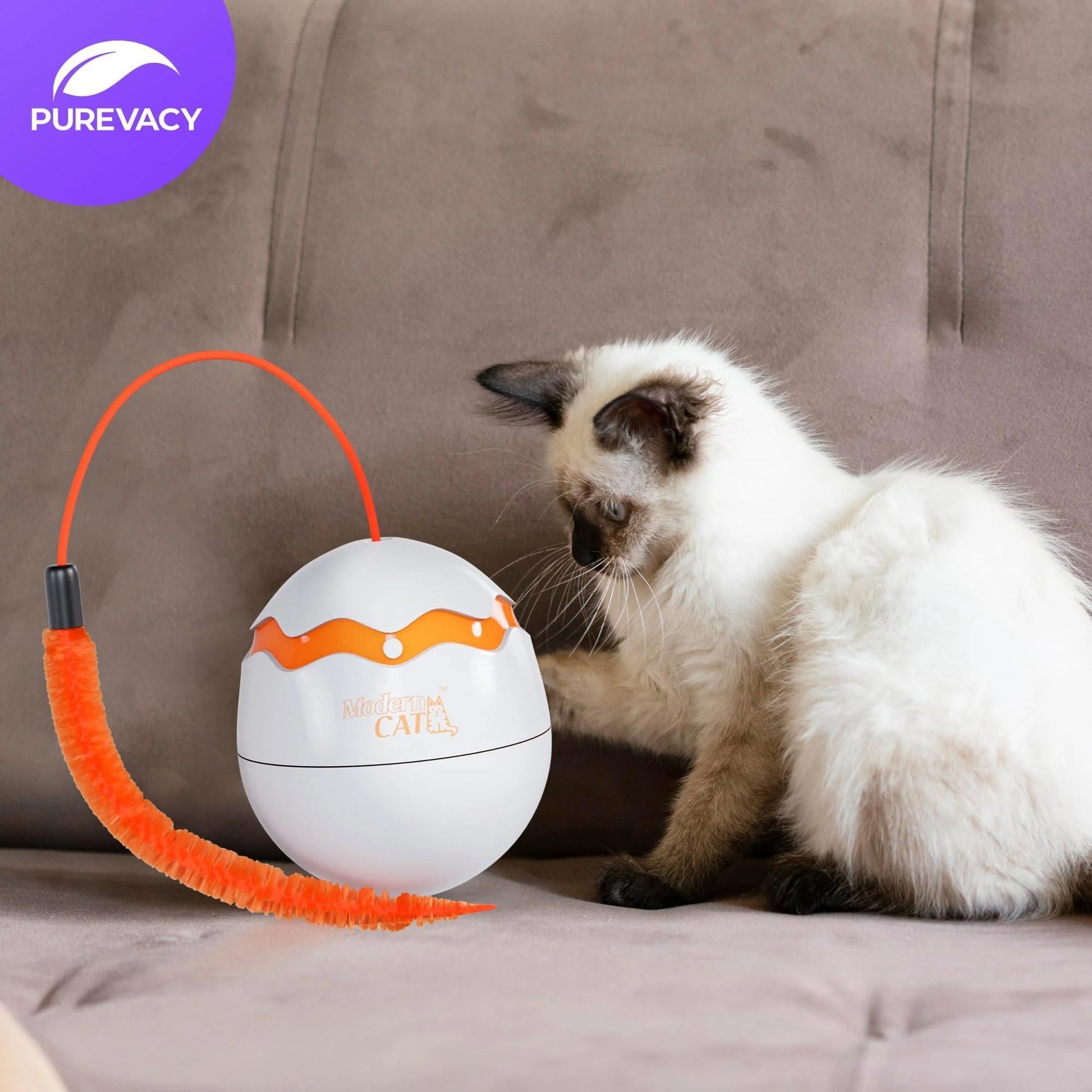 All cats love this toy!