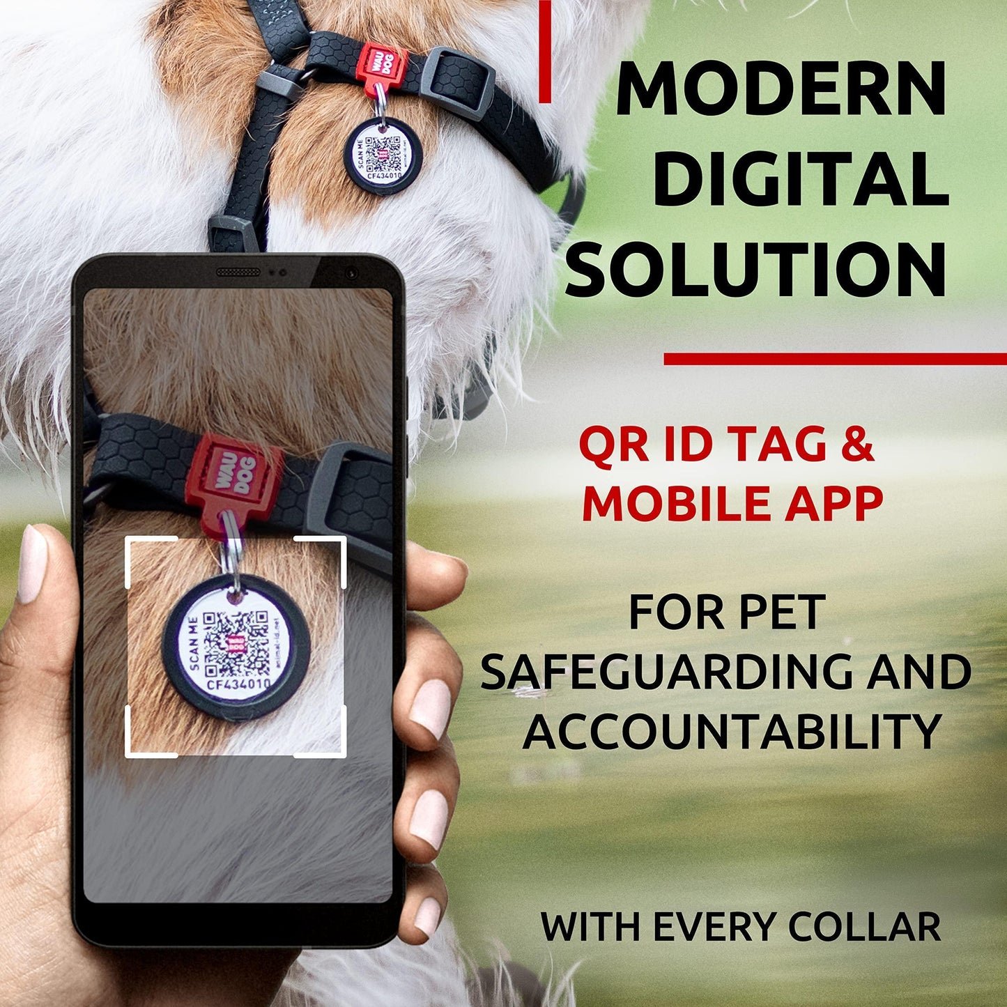 Safety for your pet